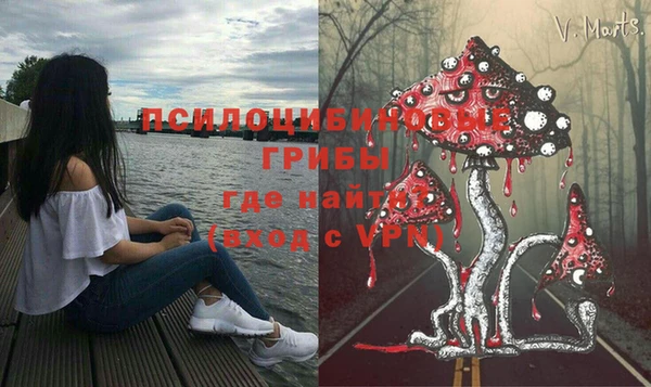 2c-b Балахна