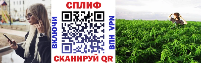 Шишки марихуана тримм  МЕГА ONION  Краснознаменск  закладки 